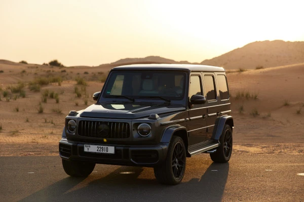 Gris Mercedes G63 AMG Photo 9